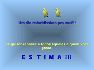 Um dia coloridíssimo pra você!!   Se quiser repasse a todos aqueles a quem você gosta. E S T I M A  !!! 