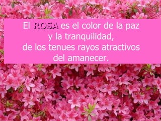 El   ROSA   es el color de la paz  y la tranquilidad,  de los tenues rayos atractivos  del amanecer.  