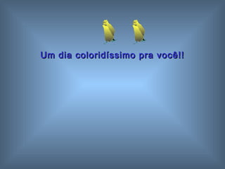 Um dia coloridíssimo pprraa vvooccêê!!!! 
 