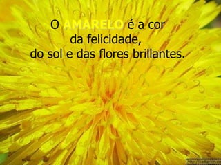 O AMARELO é a cor
        da felicidade,
do sol e das flores brillantes.
 