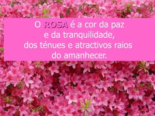 O ROSA é a cor da paz
     e da tranquilidade,
dos ténues e atractivos raios
       do amanhecer.
 