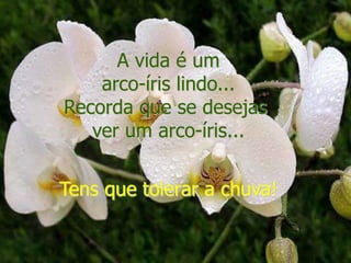A vida é um
    arco-íris lindo...
Recorda que se desejas
   ver um arco-íris...


Tens que tolerar a chuva!
 