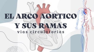 EL ARCO AORTICO
Y SUS RAMAS
v i a s c i r c u l a t o r i a s
 