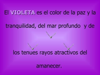 El VIOLETA es el color de la paz y la
tranquilidad, del mar profundo y de
los tenues rayos atractivos del
amanecer.