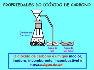 Rosa Maria Vieira Silva Pereira
PROPRIEDADES DO DIÓXIDO DE CARBONO
O dióxido de carbono é um gás incolor,
inodoro, incomburente, incombustível e
turva a água de cal.
Dióxido de
Carbono
Água de
Cal
Água de
Cal turva
 