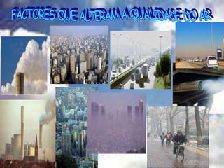 Rosa Maria Vieira Silva Pereira
 