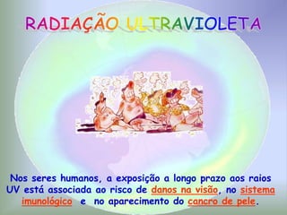 Rosa Maria Vieira Silva Pereira
Nos seres humanos, a exposição a longo prazo aos raios
UV está associada ao risco de danos na visão, no sistema
imunológico e no aparecimento do cancro de pele.
 