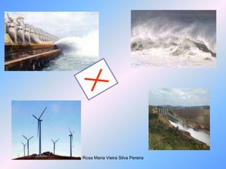 Rosa Maria Vieira Silva Pereira
 