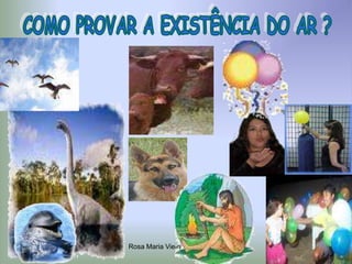 Rosa Maria Vieira Silva Pereira
 