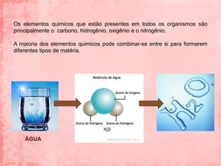 Os elementos quimicos que estão presentes em todos os organismos são
principalmente o carbono, hidrogênio, oxigênio e o nitrogênio.

A maioria dos elementos quimicos pode combinar-se entre si para formarem
diferentes tipos de matéria.




    ÁGUA
 