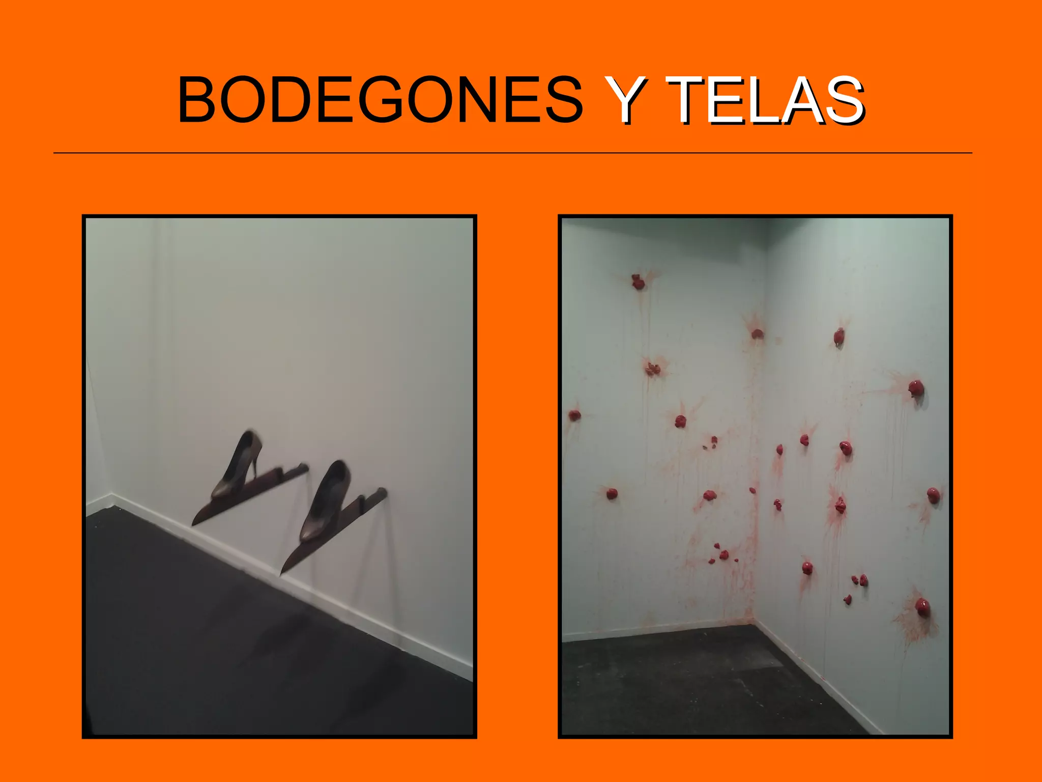 BODEGONES Y TELASY TELAS
 