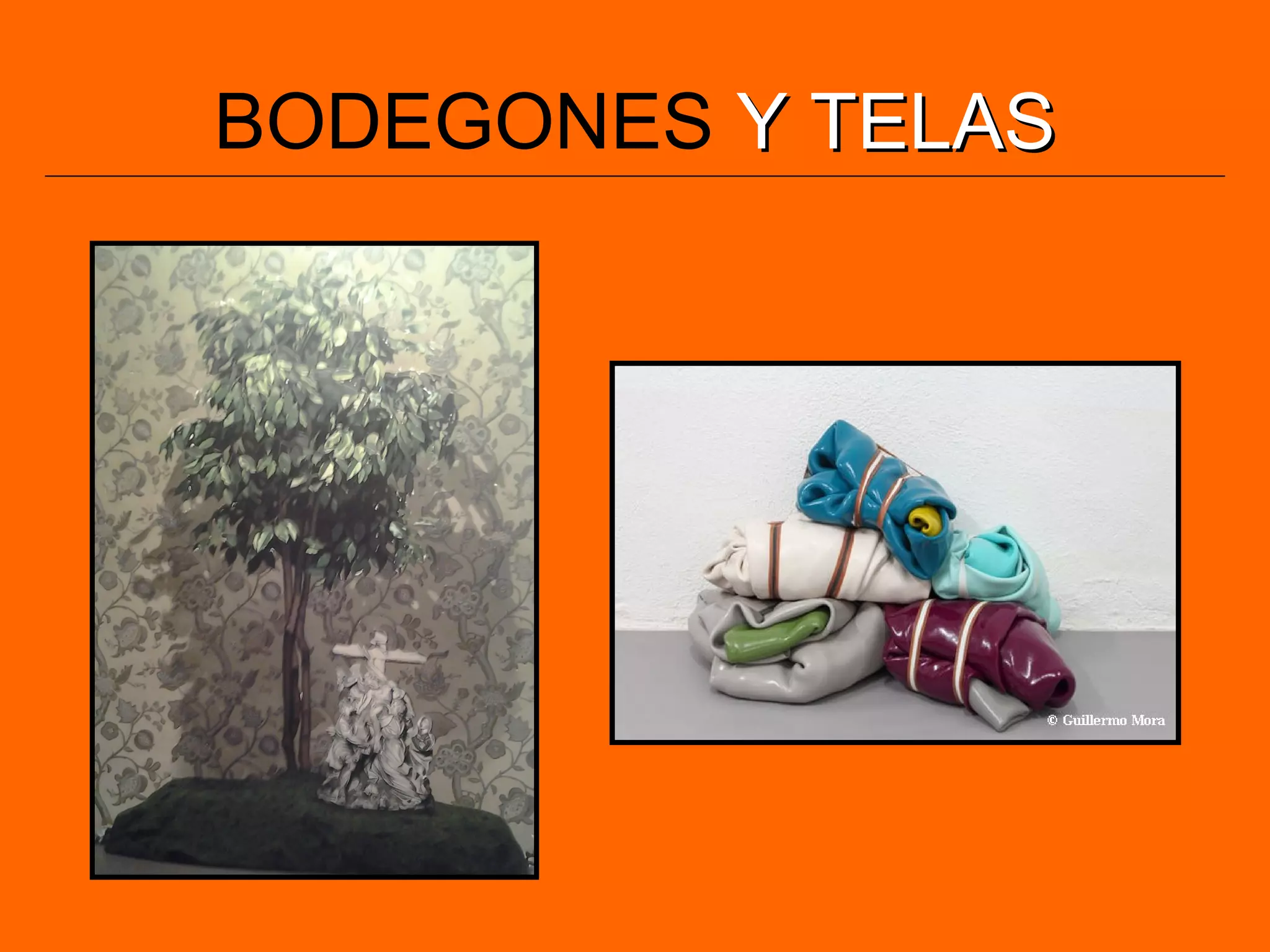 BODEGONES Y TELASY TELAS
 