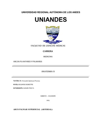 UNIVERSIDAD REGIONAL AUTÓNOMA DE LOS ANDES
UNIANDES
FACULTAD DE CIENCIAS MÉDICAS
CARRERA
MEDICINA
ARCOS PLANTARES Y PALMARES
ANATOMIA II
TUTOR: DR. Armando Quintana Proenza
NIVEL: SEGUNDO SEMESTRE
ESTUDIANTE: ALISON PÁEZ H.
AMBATO – ECUADOR
2015
ARCO PALMAR SUPERFICIAL (ARTERIAL):
 