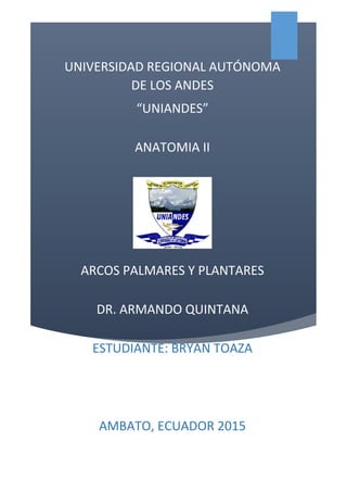 UNIVERSIDAD REGIONAL AUTÓNOMA
DE LOS ANDES
“UNIANDES”
ANATOMIA II
ARCOS PALMARES Y PLANTARES
DR. ARMANDO QUINTANA
ESTUDIANTE: BRYAN TOAZA
AMBATO, ECUADOR 2015
 