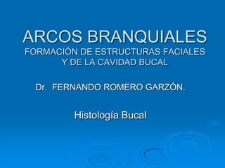 ARCOS BRANQUIALESFORMACIÓN DE ESTRUCTURAS FACIALES Y DE LA CAVIDAD BUCAL Dr.  FERNANDO ROMERO GARZÓN. Histología Bucal 