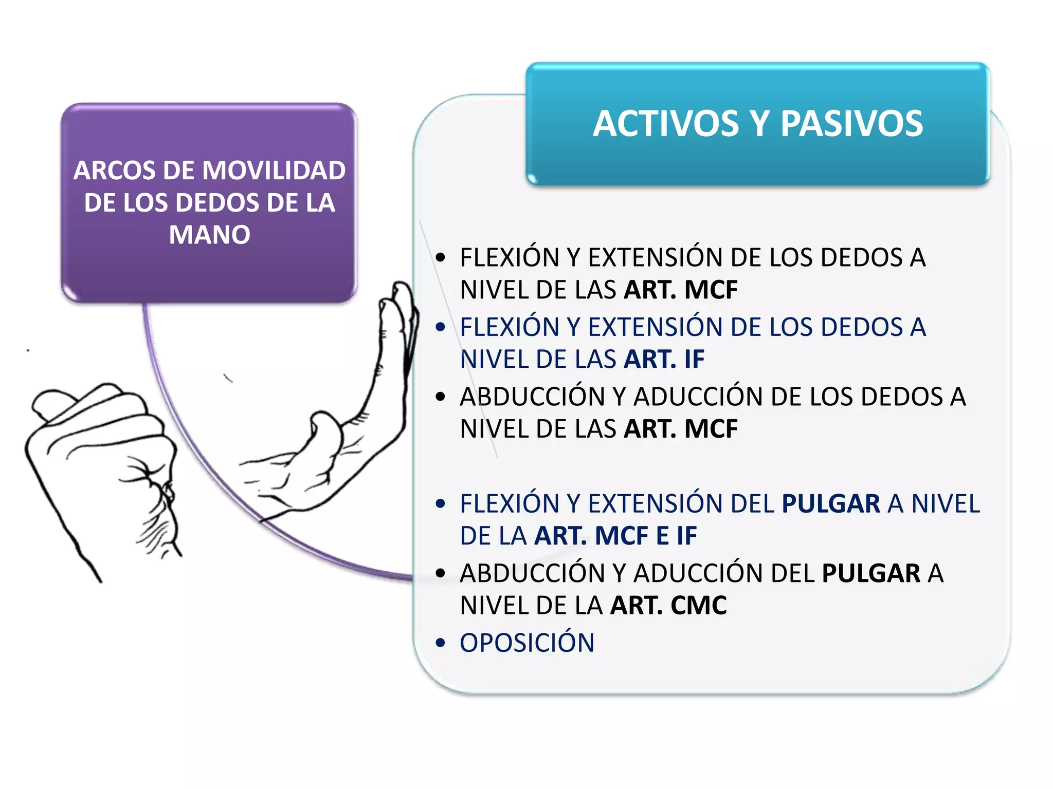 Arcos De Movilidad De Mano arcos-de-movilidad-de-mano