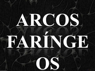 ARCOS
FARÍNGE
  OS
 
