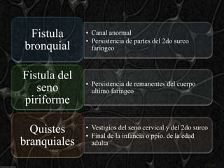 e
 Fistula      • Canal anormal
              • Persistencia de partes del 2do surco
bronquial       faríngeo



Fistula del
              • Persistencia de remanentes del cuerpo
   seno         ultimo faríngeo
piriforme

  Quistes     • Vestigios del seno cervical y del 2do surco
              • Final de la infancia o ppio. de la edad
branquiales     adulta
 