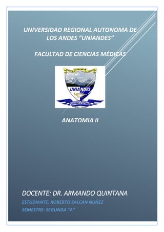 UNIVERSIDAD REGIONAL AUTONOMA DE
LOS ANDES “UNIANDES”
FACULTAD DE CIENCIAS MÉDICAS
ANATOMIA II
DOCENTE: DR. ARMANDO QUINTANA
ESTUDIANTE: ROBERTO SALCAN NUÑEZ
SEMESTRE: SEGUNDA “A”
 