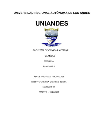 UNIVERSIDAD REGIONAL AUTÓNOMA DE LOS ANDES
UNIANDES
FACULTAD DE CIENCIAS MÉDICAS
CARRERA
MEDICINA
ANATOMIA II
ARCOS PALMARES Y PLANTARES
LISSETTE CRISTINA CASTILLO TOAZA
SEGUNDO "B"
AMBATO – ECUADOR
 