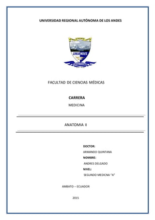 UNIVERSIDAD REGIONAL AUTÓNOMA DE LOS ANDES
FACULTAD DE CIENCIAS MÉDICAS
CARRERA
MEDICINA
ANATOMIA II
DOCTOR:
ARMANDO QUINTANA
NOMBRE:
ANDRES DELGADO
NIVEL:
SEGUNDO MEDICNA “A”
AMBATO – ECUADOR
2015
 