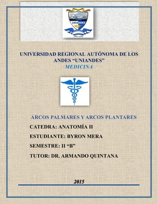 UNIVERSIDAD REGIONAL AUTÓNOMA DE LOS
ANDES “UNIANDES”
MEDICINA
ARCOS PALMARES Y ARCOS PLANTARES
CATEDRA: ANATOMÍA II
ESTUDIANTE: BYRON MERA
SEMESTRE: II “B”
TUTOR: DR. ARMANDO QUINTANA
 
