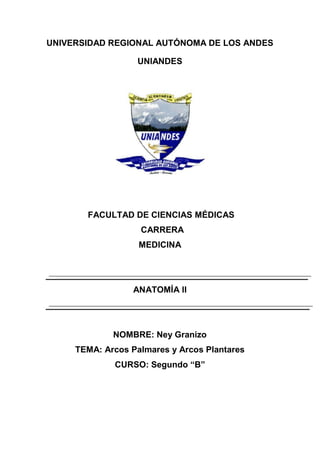 UNIVERSIDAD REGIONAL AUTÓNOMA DE LOS ANDES
UNIANDES
FACULTAD DE CIENCIAS MÉDICAS
CARRERA
MEDICINA
ANATOMÍA II
NOMBRE: Ney Granizo
TEMA: Arcos Palmares y Arcos Plantares
CURSO: Segundo “B”
 