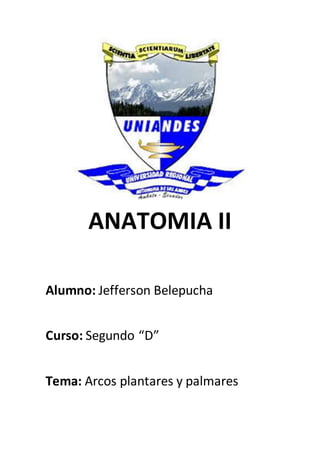 ANATOMIA II
Alumno: Jefferson Belepucha
Curso: Segundo “D”
Tema: Arcos plantares y palmares
 