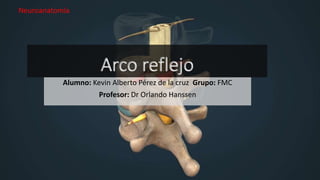 Arco reflejo
Neuroanatomía
Alumno: Kevin Alberto Pérez de la cruz Grupo: FMC
Profesor: Dr Orlando Hanssen
 