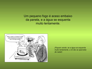 Um pequeno fogo é aceso embaixo da panela, e a água se esquenta muito lentamente. (Fiquem vendo: se a água se esquenta muito lentamente, a râ não se apercebe de nada!) 
