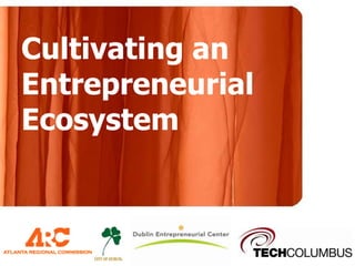 Cultivating an Entrepreneurial Ecosystem 