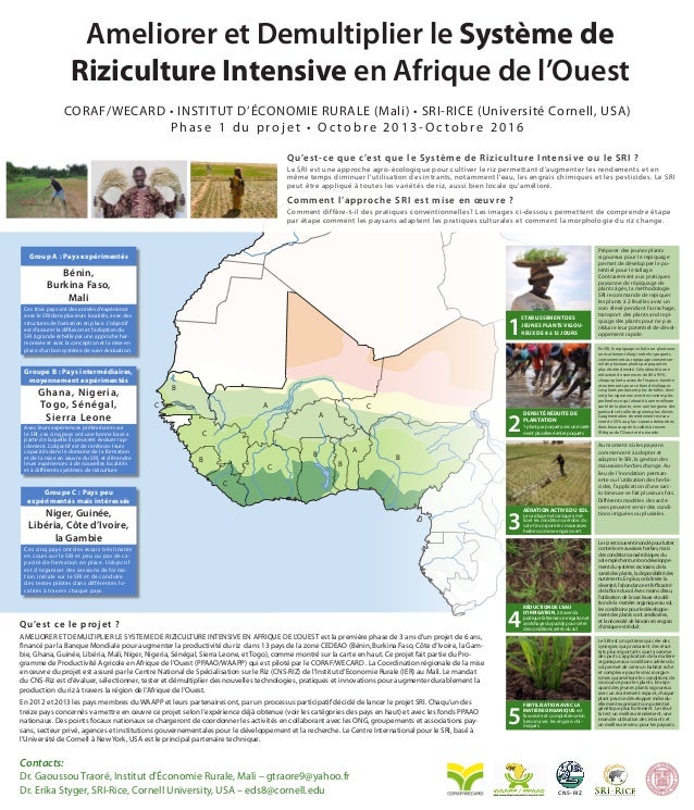 1325 Ameliorer Et Demultiplier Le Systeme De Riziculture Intensive