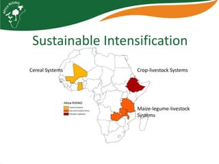 Characterizing households and communities for Africa RISING