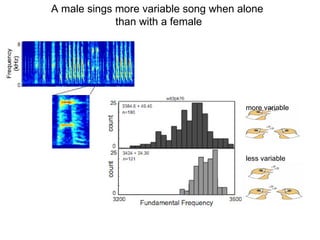 Arcs Presentation | PPT