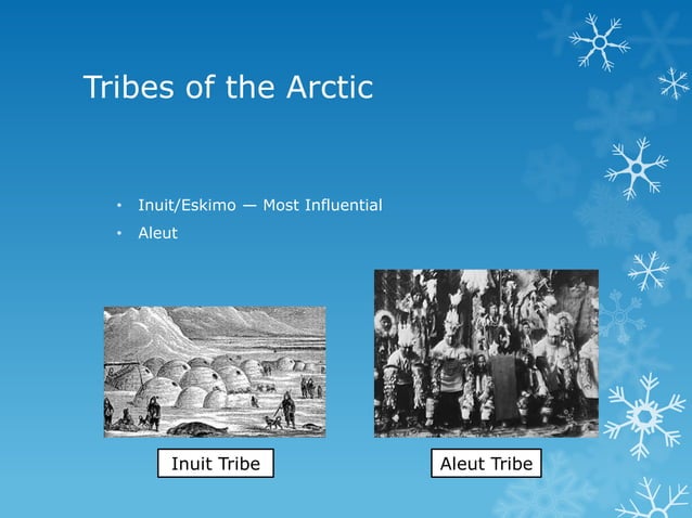 What tribes lived in the Arctic Native American region?