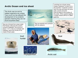 The Arctic sea ice and its related organisms are unique. Year-round ice has allowed the development of ice endemic species (meaning they are not found anywhere else) Arctic Ocean and ice sheet Sea ice is formed from ocean water that freezes. Because the oceans consist of saltwater, this occurs at about -1.8 °C. Sea ice contrasts with icebergs, which are chunks of ice made of fresh water. Sea ice expands and contracts with the seasons Land-fast ice is frozen along coasts ("fastened" to them) or to the sea floor. It extends out from land into sea and does not move with currents and wind.  Drift ice floats on the surface of the water. When packed together in large masses drift ice is called pack ice.  Phytoplankton Seal Arctic cod Inuit hunter 