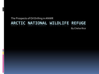 The Prospects of Oil Drilling in ANWR
ARCTIC NATIONAL WILDLIFE REFUGE
                                        By Chelse Rice
 
