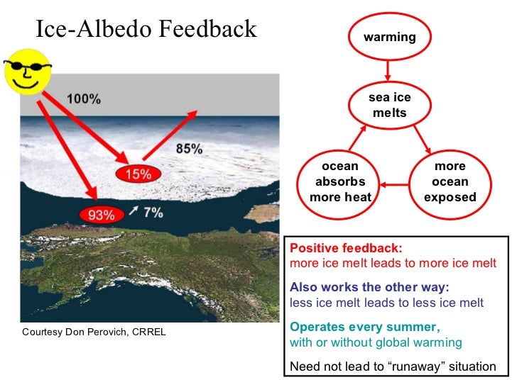 Arctic Sea Ice and the IceAlbedo Feedback