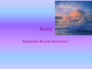 Arctic
Alexandra M and Veronica F
 