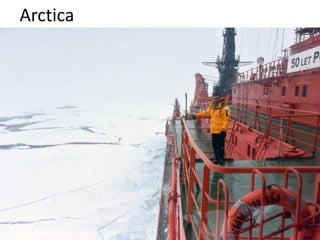 Arctica
 