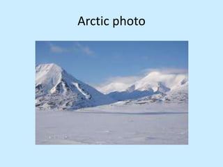 Arctic photo
 