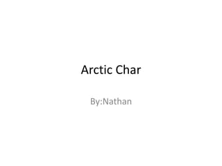Arctic Char By:Nathan 