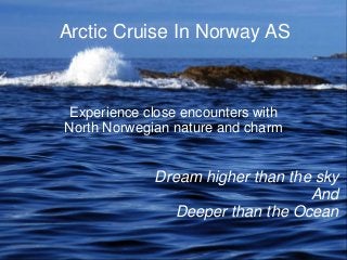 Dream higher than the sky
And
Deeper than the Ocean
Arctic Cruise In Norway AS
Experience close encounters with
North Norwegian nature and charm
 