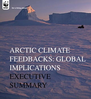 for a living planet




Arctic climAte
FeedbAcks: GlobAl
implicAtions
executive
summAry
 