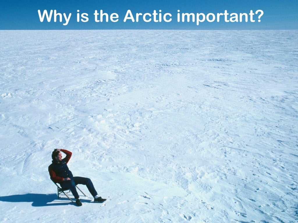 What is the arctic circle picture