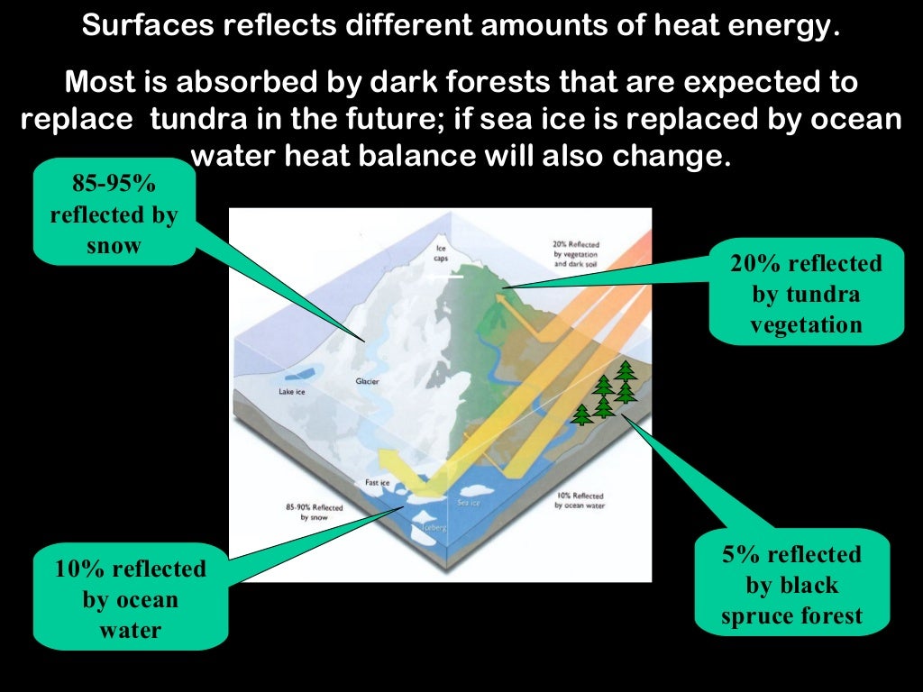 Case study of global warming in antarctica picture