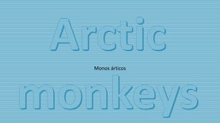 Monos árticos
 