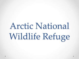 Arctic National
Wildlife Refuge
 