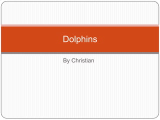 By Christian Dolphins 