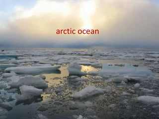 arctic ocean
 